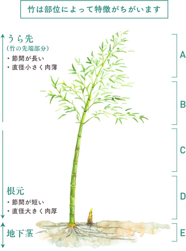 隅々まで余さず使う | 脇田工芸社|暮らしを豊かにする竹製品の製造|竹工業|鹿児島市東佐多町